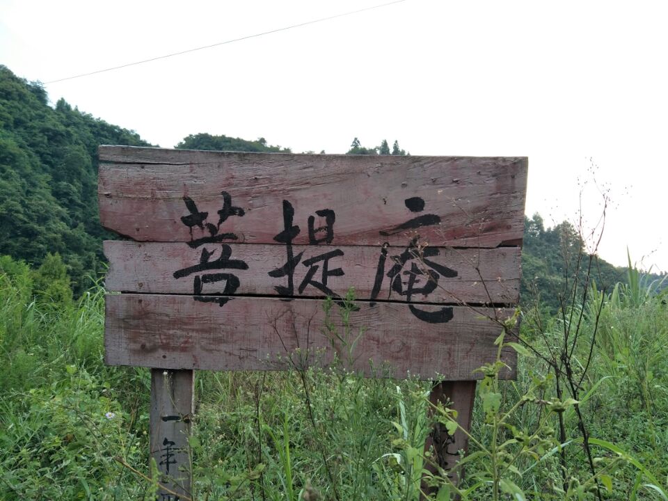 菩提庵实景照片