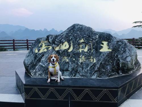 万山朝王旅游驿站旅行图片 1