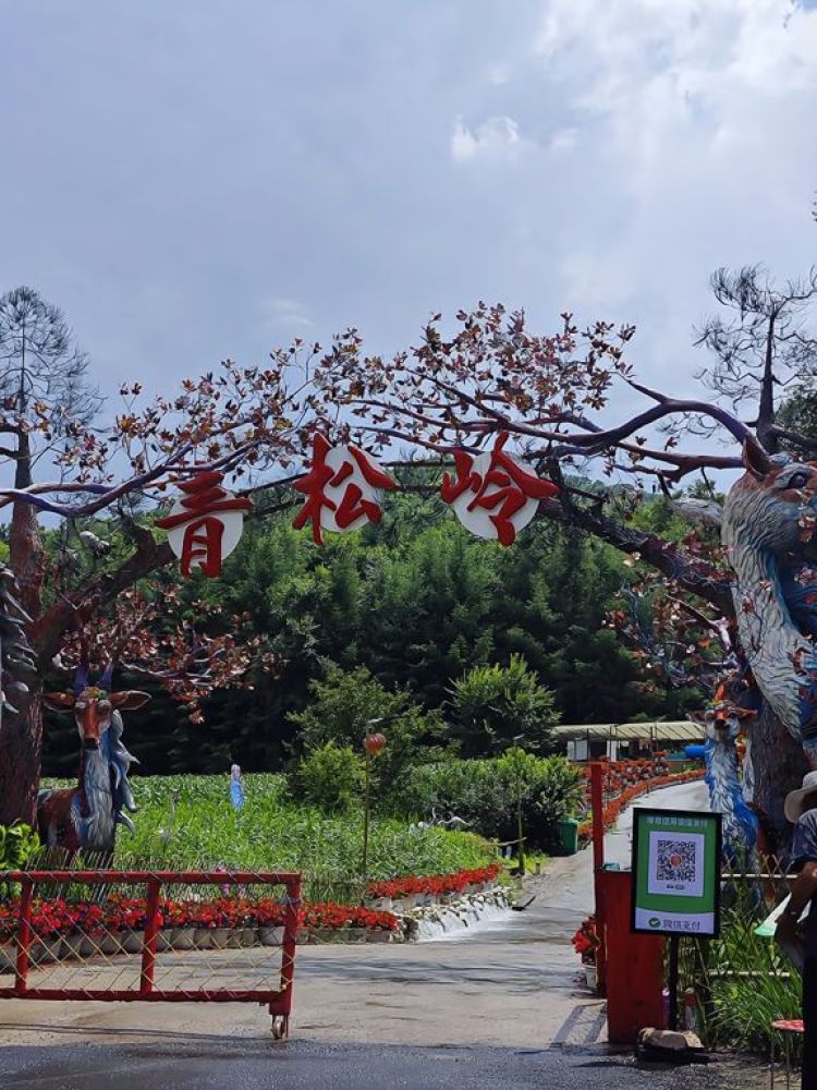 青松岭森林公园景点图片