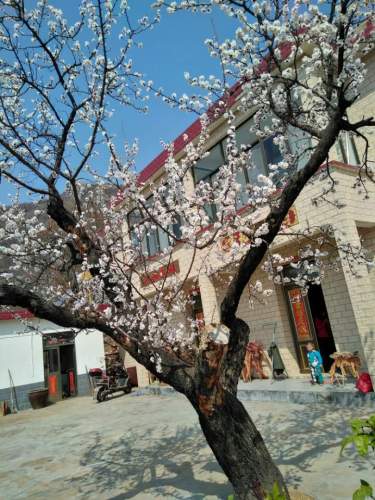 樱桃谷生态园游游览区旅行图片 1