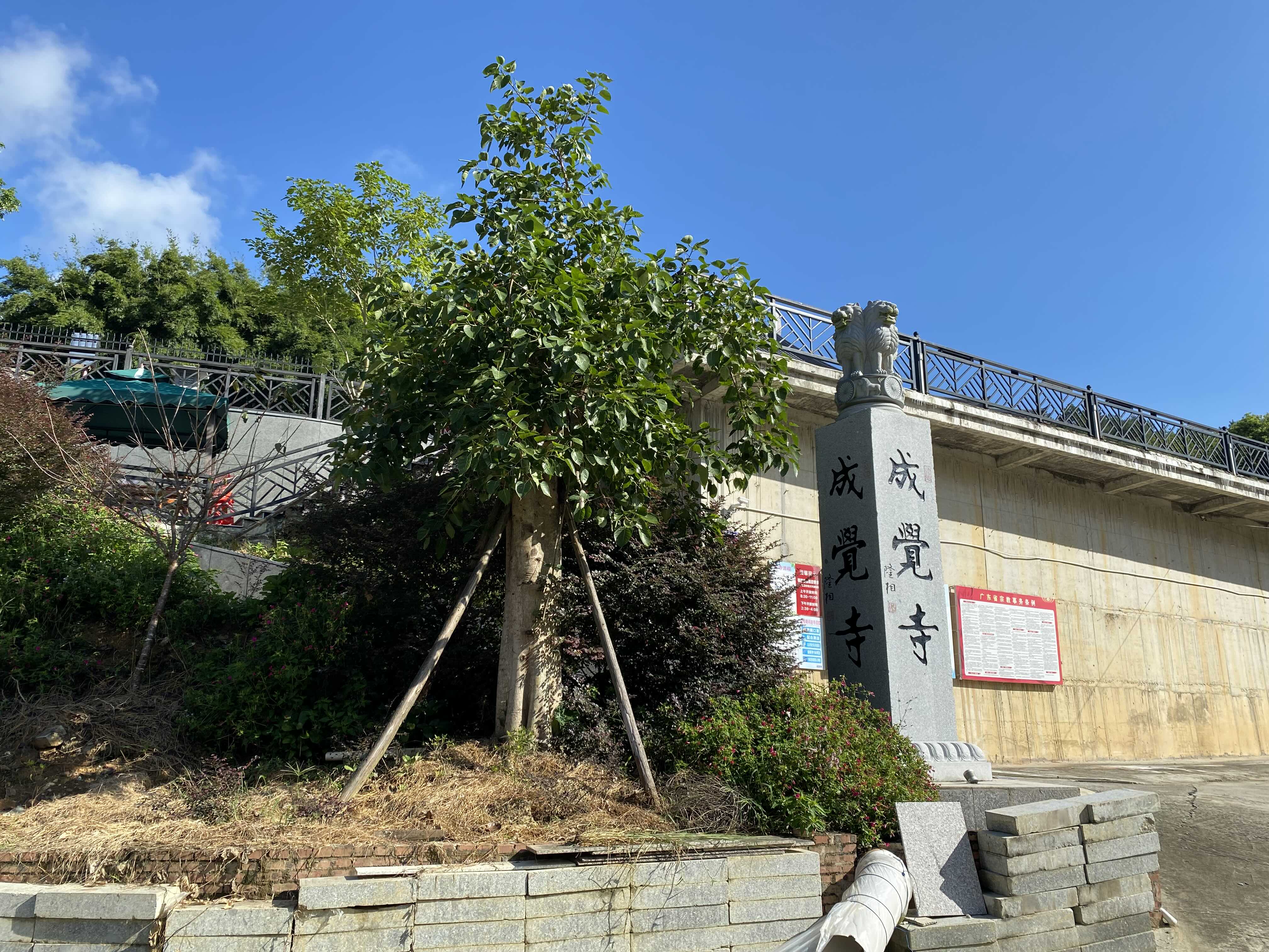 成觉寺实景照片