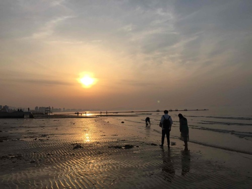 金沙滩海滨公园旅行图片 1