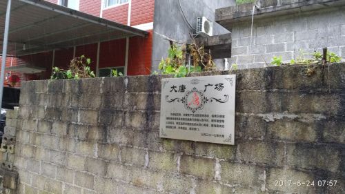 弄王大唐广场旅行图片 1