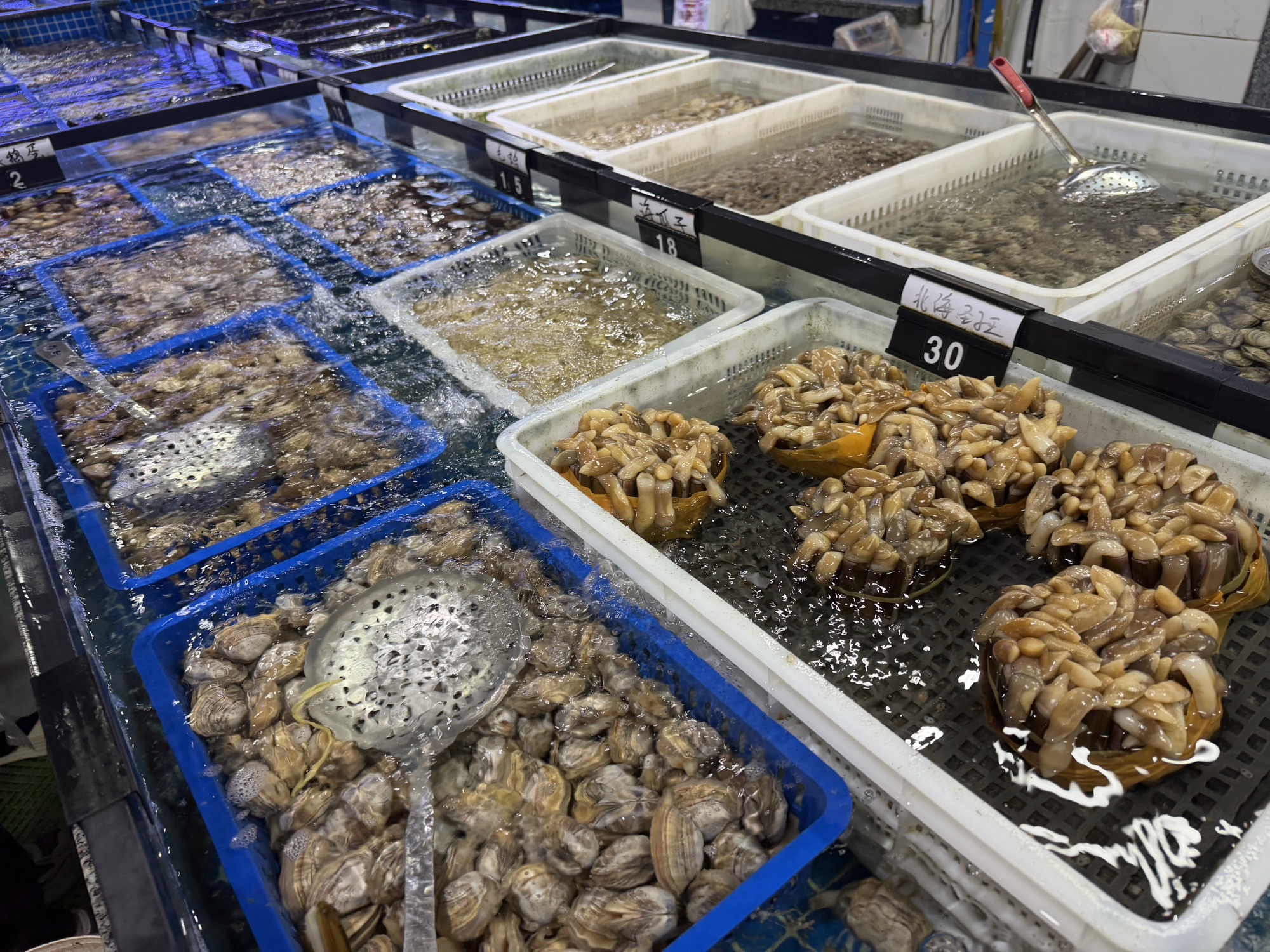 野渔湾海鲜加工美食广场