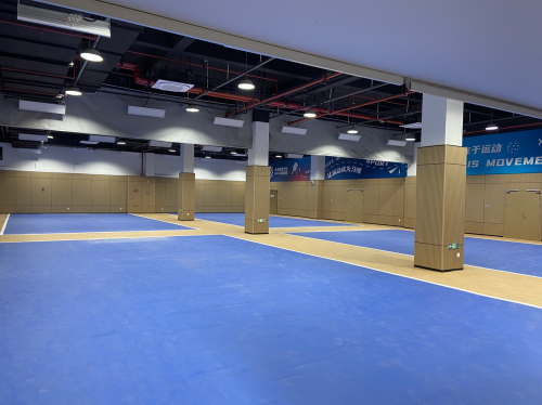 大丰体文中心匹克球-乒乓球馆(萧山区工人文化宫店)(暂停营业)