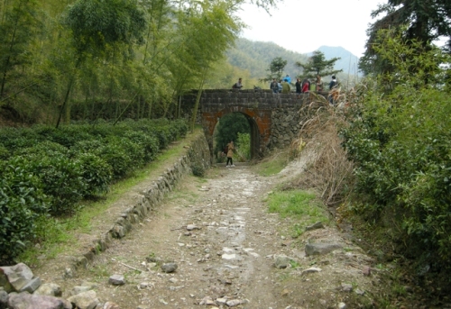 仙霞古道旅行图片 2