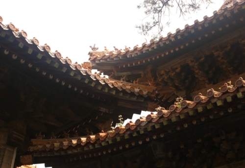曲阜明故城旅行图片 2