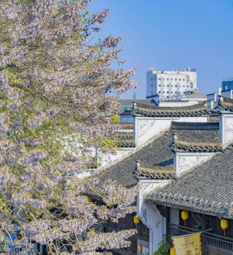 衢州古城文化旅游区水亭门历史文化街区景点图片