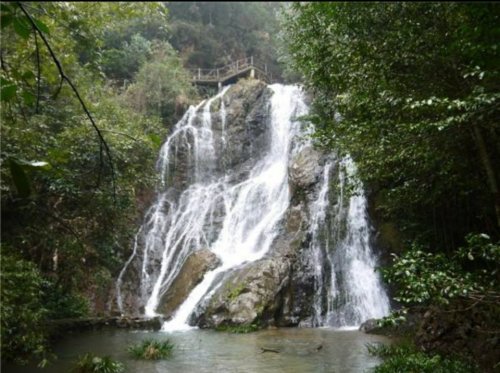 玉龙谷旅行图片 2