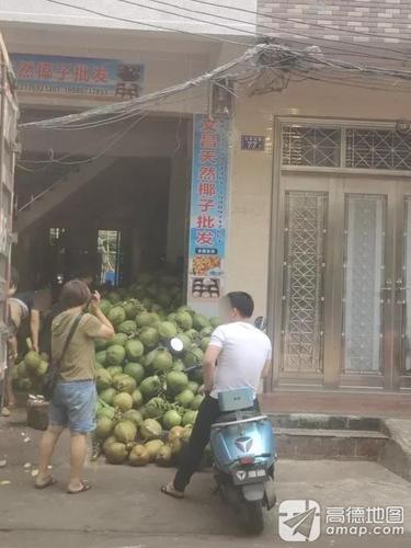 文昌天然椰子批发(文明西路店)