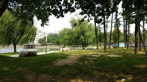 西湖公园旅行图片 3