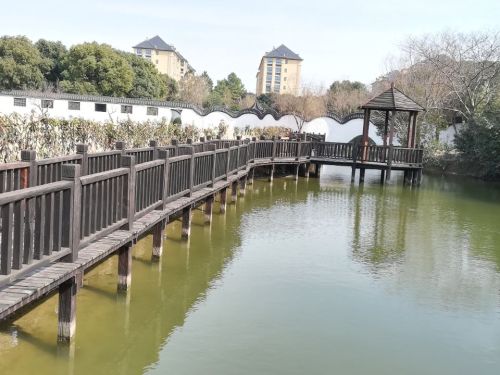 镜园旅行图片 3