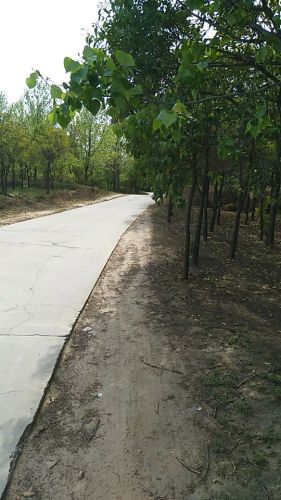 十龙漳大峡谷旅行图片 1