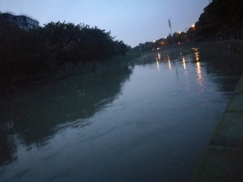 江安河生态公园旅行图片 2