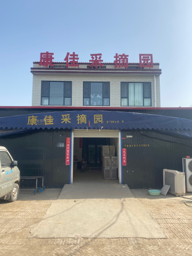 康佳采摘园