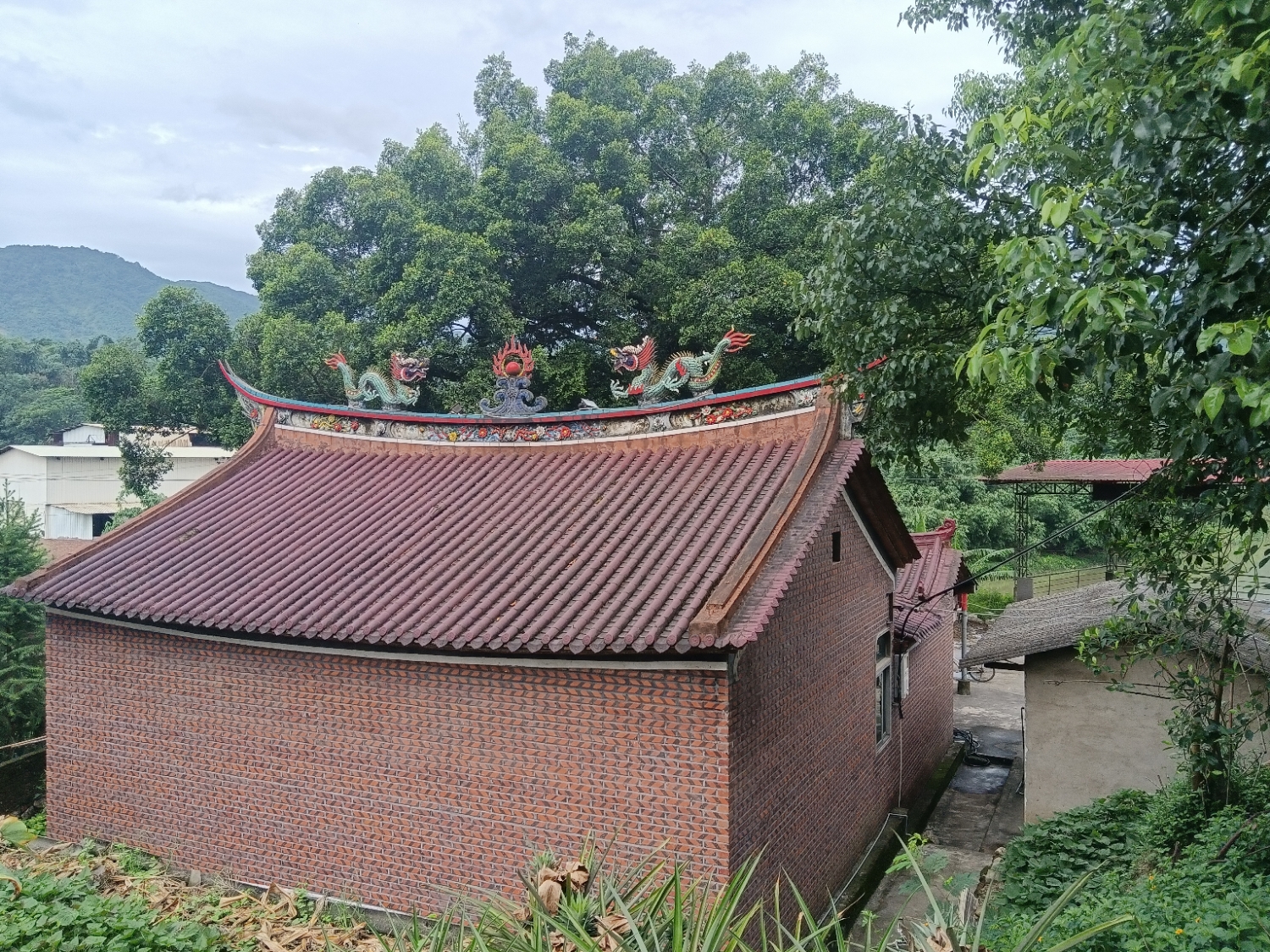 缘寺实景照片