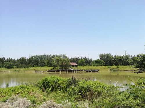 蝴蝶湖生态公园旅行图片 2