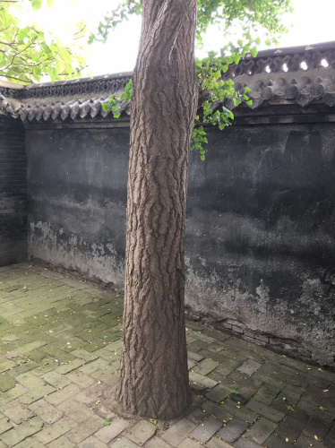 孔子闻韶处旅行图片 3