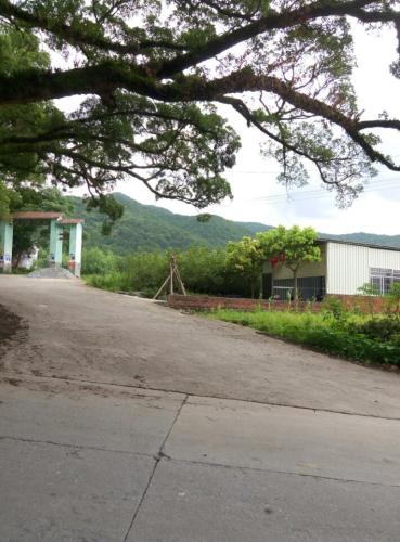 紫云山风景区旅行图片 1