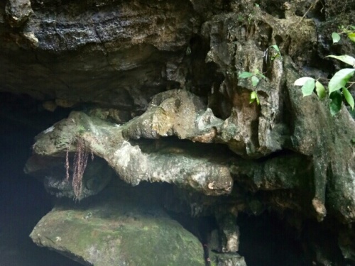 来宾第一岩旅行图片 3