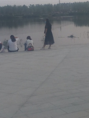 南乐县东湖湿地公园旅行图片 3