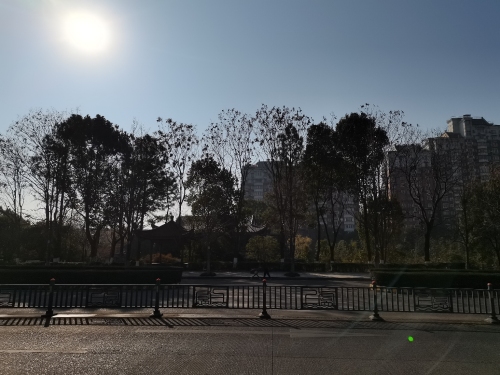 西横公园