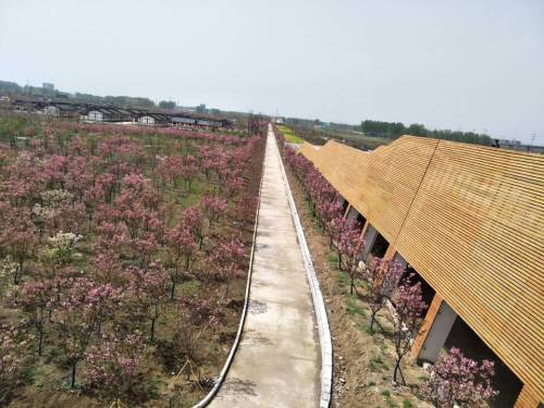 谷阳城遗址公园旅行图片 2