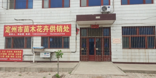 定州雅澎园林绿化工程有限公司