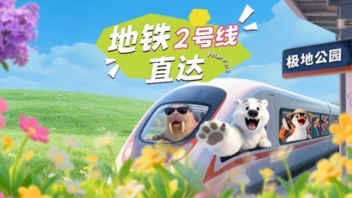 极地公园现场照片 3