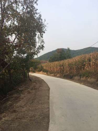 富江花海旅行图片 3