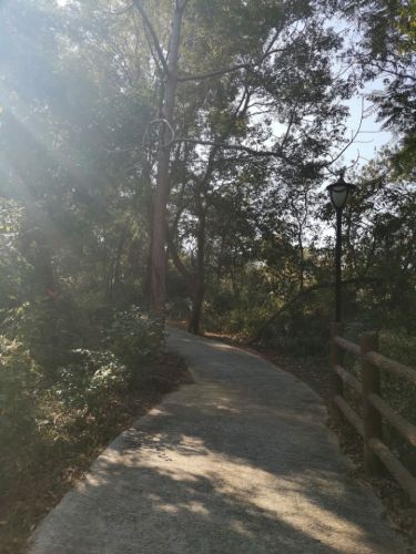 马岗山公园旅行图片 2
