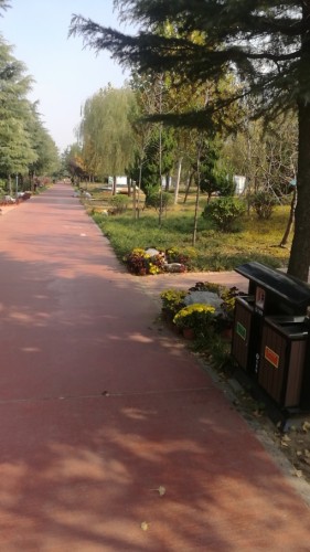 安丘市青云植物园旅行图片 2