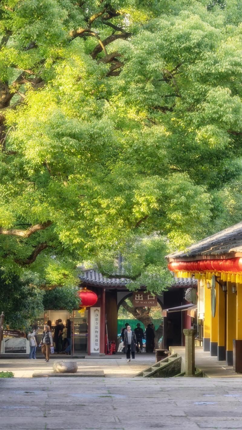 碧海净寺实景照片