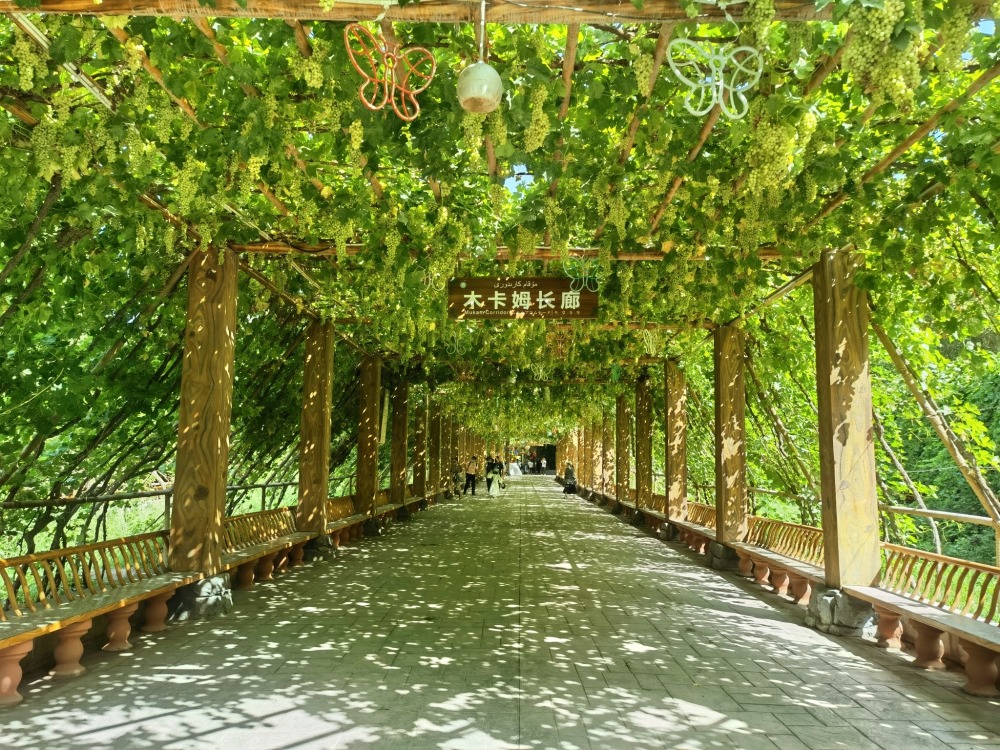吐鲁番葡萄沟风景区景点图片