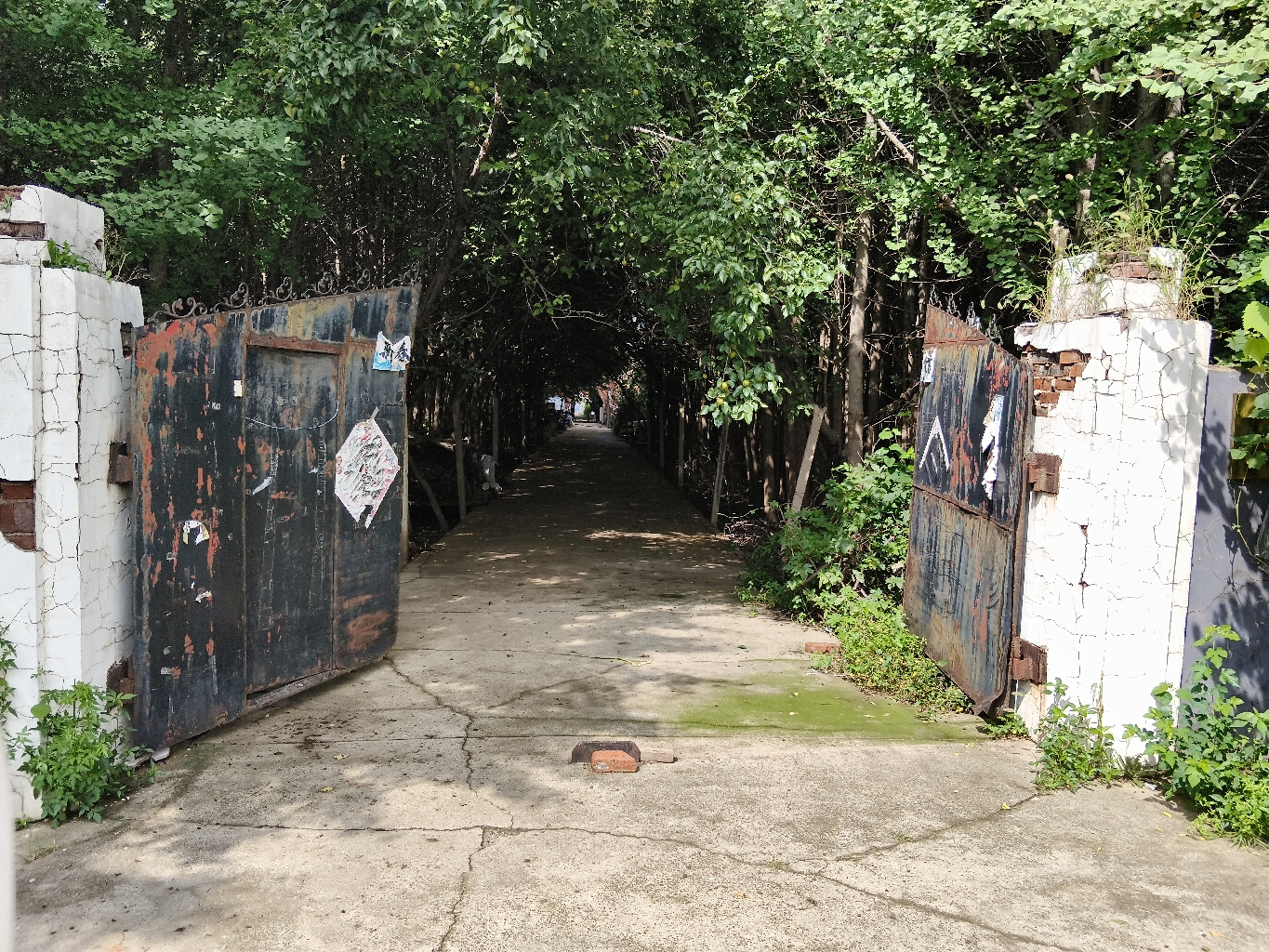 慈航寺庙遗址实景照片