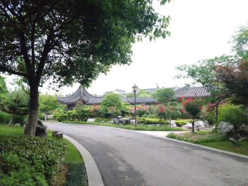 水木柴门旅行图片 1