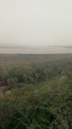 鼎湖芦苇荡风景区旅行图片 1