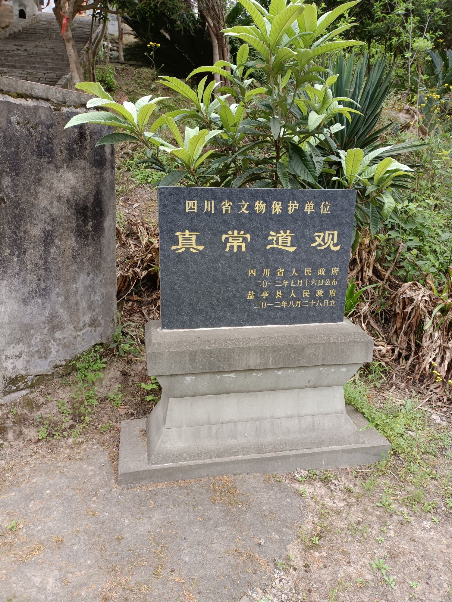 真常道观实景照片