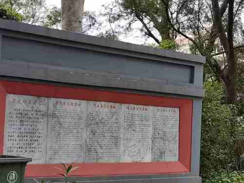 藤县鸡谷山公园旅行图片 1