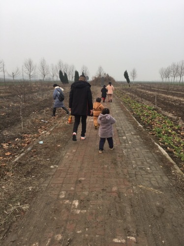 香山庙遗址与俞伯牙墓旅行图片 2