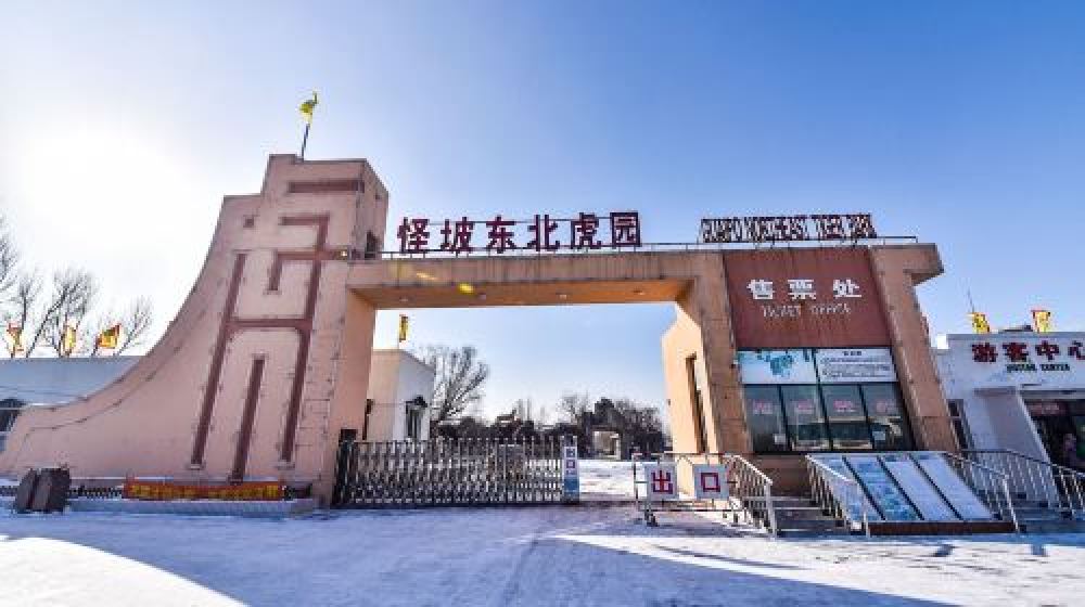 怪坡东北虎园景点图片