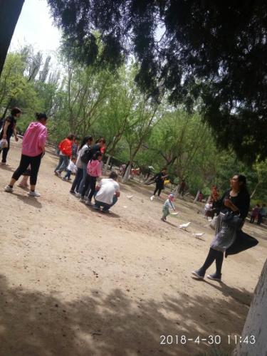 胜利公园旅行图片 1