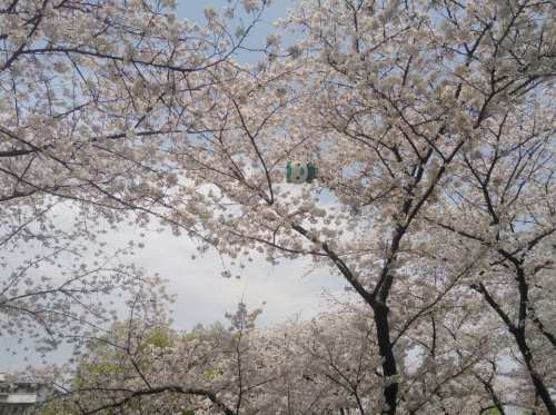 海曙公园旅行图片 1