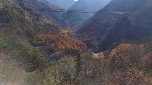 大脚印景点旅行图片 1