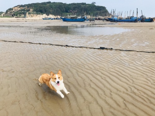 滋澳海滩旅行图片 2