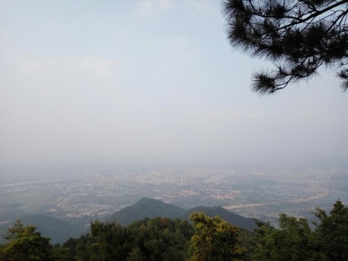 贞山电视塔(不对外开放)旅行图片 1