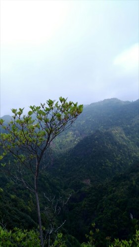 滴水岩旅行图片 1