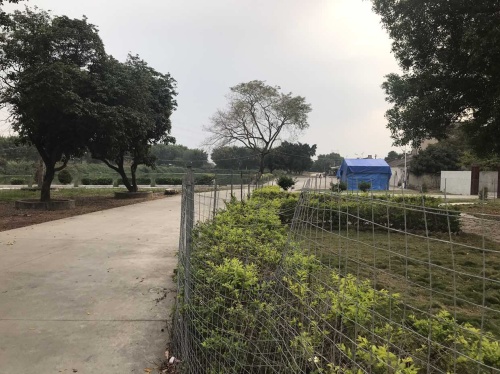 后埔公园旅行图片 2