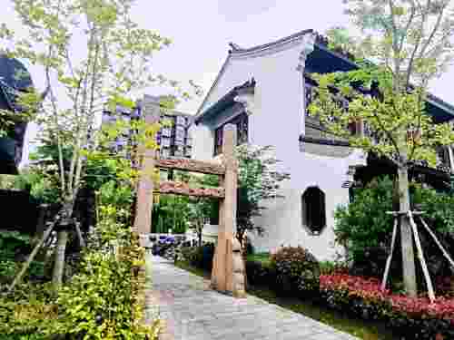 菊泉故里旅行图片 3