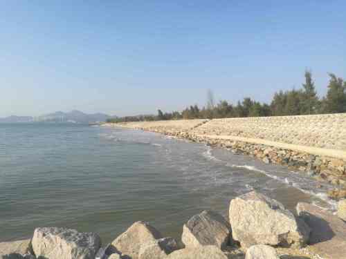 情浓湾泳滩旅行图片 2